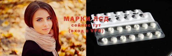 гидра Володарск