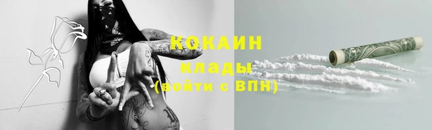 гидра Володарск