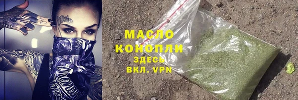 гидра Володарск
